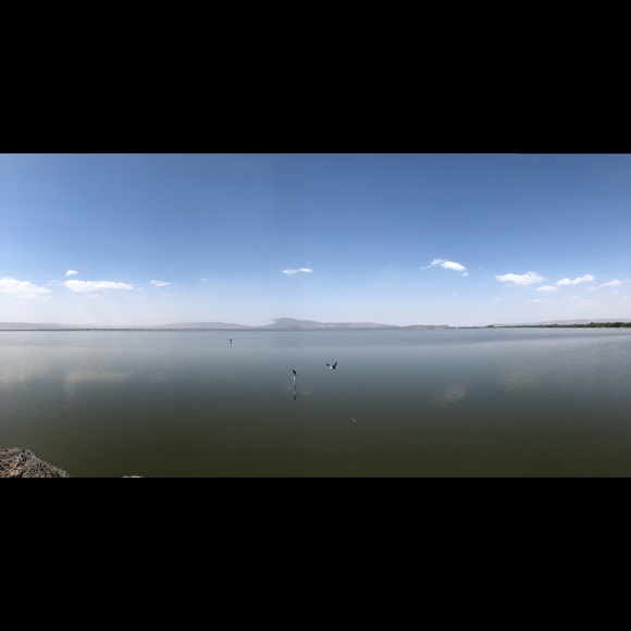 Meet your Posher, Tee - Picture 1 of 1